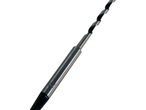 broca-madera-gusano-p-berbiquie-211123