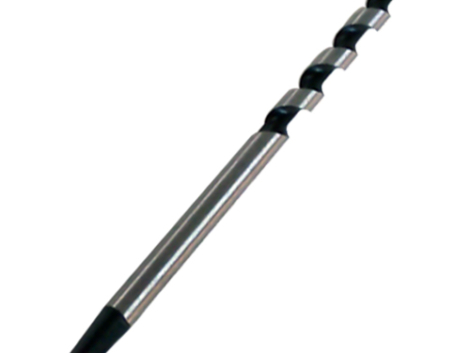 broca-madera-gusano-p-berbiquie-211126