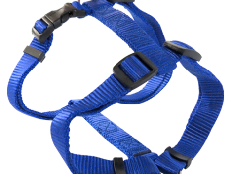 perro-arnes-poliester-270504