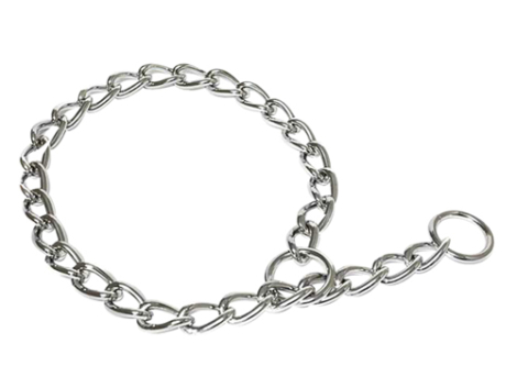 perro-collar-castigo-270510