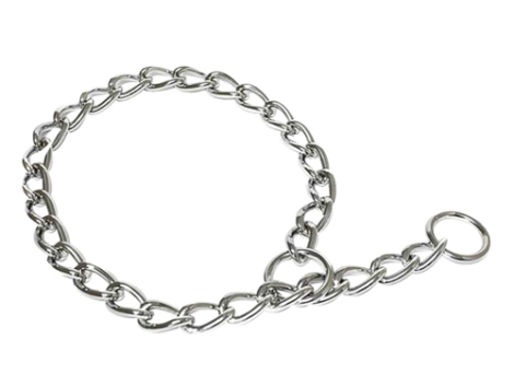 perro-collar-castigo-270512