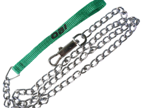 perro-correa-cadena-270520