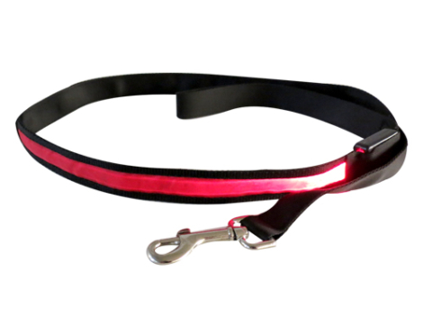 perro-correa-led-270534